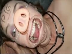 Scat pig licks a man's nasty ass hole and poop